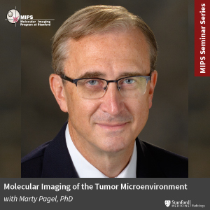 MIPS Seminar: Molecular Imaging of the Tumor Microenvironment @ Hybrid Event: James H. Clark Auditorium & Zoom