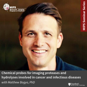 MIPS Seminar: “Chemical probes for imaging proteases and hydrolyses involved in cancer and infectious diseases" @ Zoom - See Description for Zoom Link